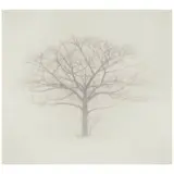Michael Kenna, 'Tree Portrait #3, Wakoto, Hokkaido, Japan'