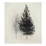 Michael Kenna, 'Tree Portrait #4, Wakoto, Hokkaido, Japan'