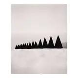 Michael Kenna, 'Conical Hedges, Versailles, France', 1988, Sepia-toned gelatin silver print