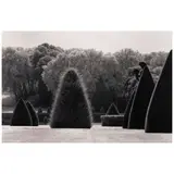 Michael Kenna, 'Unclipped Bush, Vaux-Le-Vicomte, France', 1988, Sepia and selenium-toned gelatin silver print