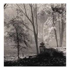 Michael Kenna, 'Le Desert de Retz, Study 4, France', 1988, Sepia and selenium-toned gelatin silver print