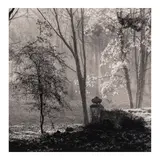 Michael Kenna, 'Le Desert de Retz, Study 4, France', 1988, Sepia and selenium-toned gelatin silver print
