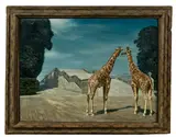 Carel Willink, Twee Giraffen, 1956, Öl auf Leinwand
