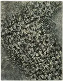 Franz Beer, Birds in Flight, 1961, Oil on canvas