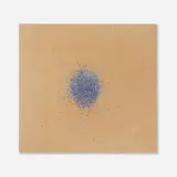 Leo Bersamina, Head Scan (Aerial), 1999, acrylic, color photograph and resin mounted on panel