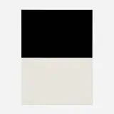 Ellsworth Kelly, Untitled (from the New York Collection for Stockholm portfolio), 1973, screenprint