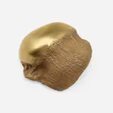 Sarah Lucas, Lion Heart