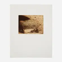 Jamie Wyeth, Bee Shadows, 1980, etching in colors