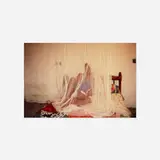 Jabalowe under the mosquito net looking at me by Nan Goldin, 2003, cibachrome print, sold Jul 2017