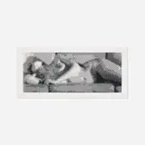 Leon Harmon and Ken Knowlton, Computer Nude (Studies in Perception I), 1967, laser print on paper mounted to canvas