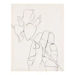 Sweet Pea with Hand by Ellsworth Kelly, 1960, graphite on paper, offered May 2026