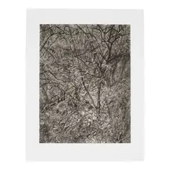 Lucian Freud, Garden in Winter (Treves 84), 1997-99, Etching on Somerset paper