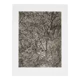 Lucian Freud, Garden in Winter (Treves 84), 1997-99, Etching on Somerset paper