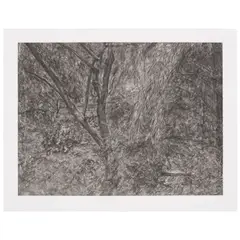 Painter's Garden (Treves 105) by Lucian Freud, 2003-04, Etching on Somerset paper, offered Apr 2026