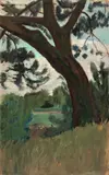 Paula Modersohn-Becker, Landschaft mit Föhre, 1901, Öl auf Pappe