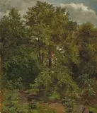 Carl Gustav Carus, Motiv von der Pillnitzer Elbinsel