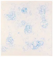 Tara Donovan, Untitled (Bubble Drawing), 2003, Ink on foamcore in acrylic case