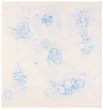 Tara Donovan, Untitled (Bubble Drawing)