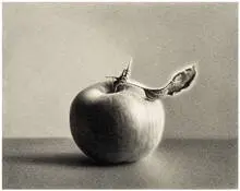 Martha Alf, Apple #6, 1980, Graphite on Strathmore paper