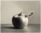 Martha Alf, Apple #6, 1980, Graphite on Strathmore paper