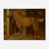 Edward Penfield, Palomino