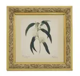 William Buelow Gould, Untitled, watercolour 31 x 28cm