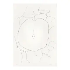 Melon Leaf (Feuille de Melon), from Suite of Plant Lithographs (Axsom 44) by Ellsworth Kelly, 1965-66, Lithograph on Rives BFK paper, sold Apr 2026