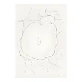Ellsworth Kelly, Melon Leaf (Feuille de Melon), from Suite of Plant Lithographs (Axsom 44), 1965-66, Lithograph on Rives BFK paper