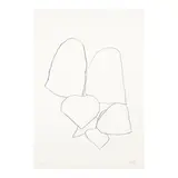 Ellsworth Kelly, String Bean Leaves II (Haricot Vert II), from Suite of Plant Lithographs (Axsom 49), 1965-66, Lithograph on Rives BFK paper