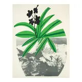 Jonas Wood, Untitled (Gagosian pp.54-55), 2014, Lithograph and screenprint in colors on wove paper