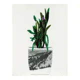 Jonas Wood, Untitled (Gagosian pp.50-51), 2014, Lithograph and screenprint in colors on wove paper