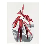 Jonas Wood, Untitled (Gagosian pp.48-49), 2014, Lithograph and screenprint in colors on wove paper