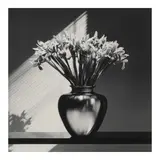 Robert Mapplethorpe, Irises, 1986, Gelatin silver print; signed