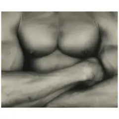 Robert Mapplethorpe, Chest / Livingston, 1987, Selenium-toned gelatin silver print; flush-mounted, the photographer's copyright/reproduction rights stamp