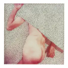 Lucas Samaras, Photo-Transformation (Torso), 1976, Unique manipulated Polaroid SX-70 print; dated '6/17/76' in ink on the reverse