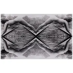 Carolee Schneemann, 'Parallel Axis', 1973, A collage of 4 gelatin silver prints