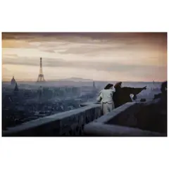 View from Notre Dame, Paris, France by Ernst Haas, 1955, Pigment print, offered Apr 2026
