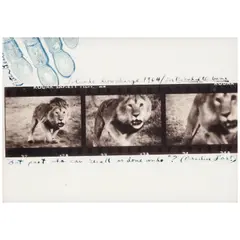 Peter Beard, 'Loliondo Lion Charge' (for 'The End of the Game'), 1964, Gelatin silver print
