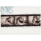 Peter Beard, 'Loliondo Lion Charge' (for 'The End of the Game'), 1964, Gelatin silver print