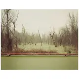 Richard Misrach, 'Swamp and Pipeline, Geismar, Louisiana' (from 'Cancer Alley'), 1998, Chromogenic print
