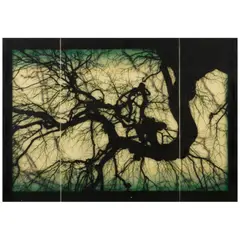 Doug and Mike Starn, Structure of Thought 30, 2013-21, Inkjet print on Thai mulberry paper and tissue papers with beeswax, encaustic, and varnish; mounted