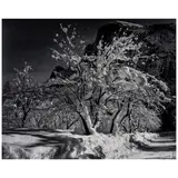 Ansel Adams, Half Dome, Orchard, Winter, Yosemite National Park