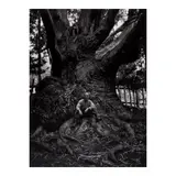 Ansel Adams, Edward Weston, Carmel Highlands, California (from 'Portfolio VI'), 1945, Gelatin silver print