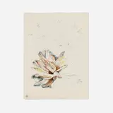 Dora Maar, Floral Study