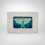 Frank Gardner Hale, Lidded box with Luna moth