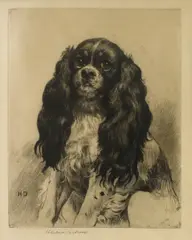 Untitled by Herbert Dicksee, seated. original etching on satin (very rare, sold Dec 2020