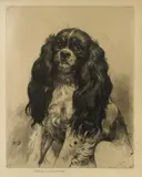 Herbert Dicksee, Untitled, seated. original etching on satin (very rare