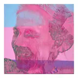 Andy Warhol, Dominique de Menil, 1969, synthetic polymer and silkscreen ink on canvas