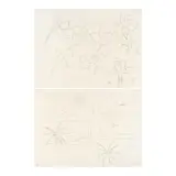 Henri Matisse, Jonquilles (recto); Palmiers et nuages (verso), pencil on paper