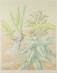 Milan Ressel, Green Line, 1987, coloured pencils, paper